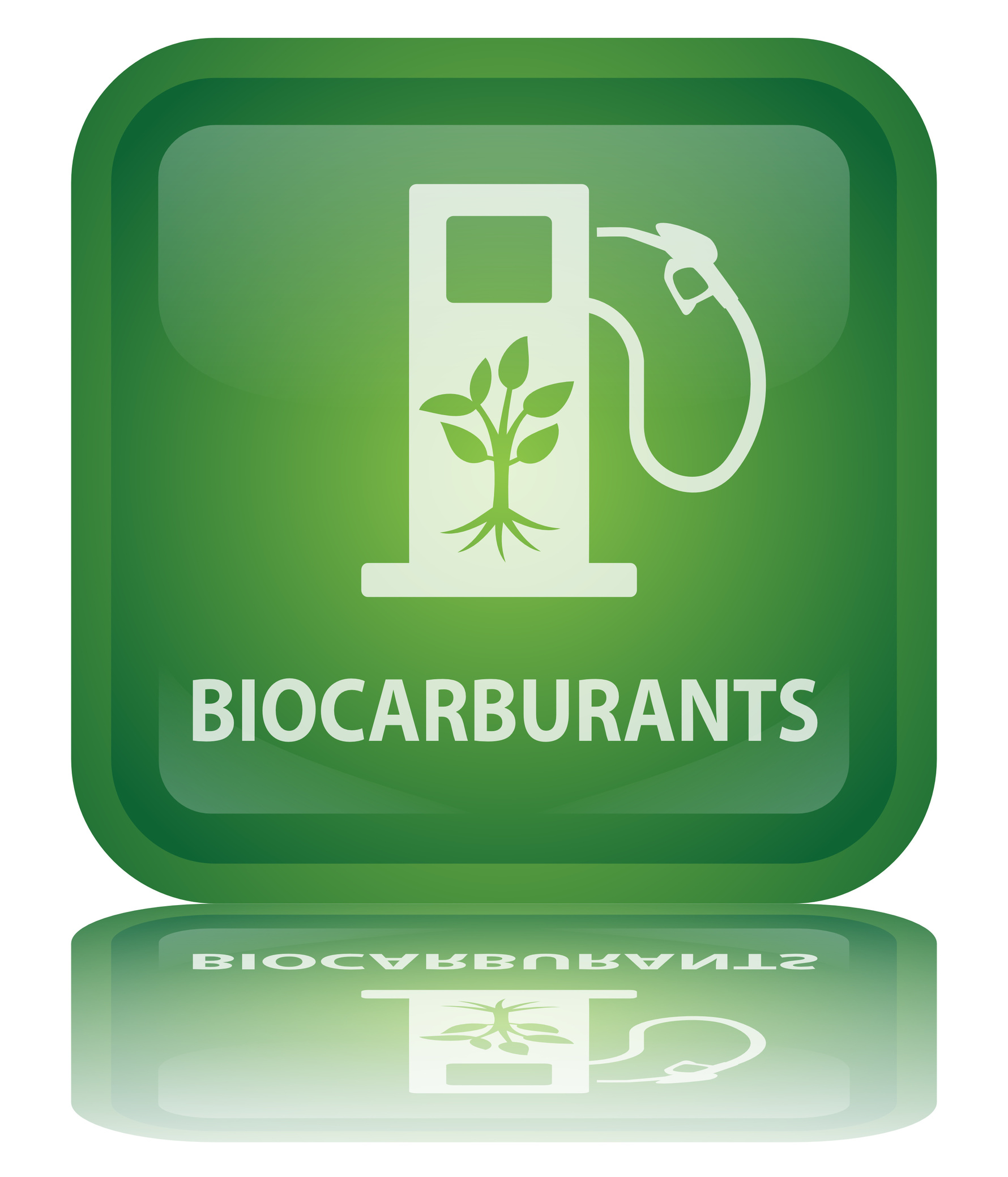 Biocarburants